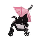 Rosa Geo - IMP01767